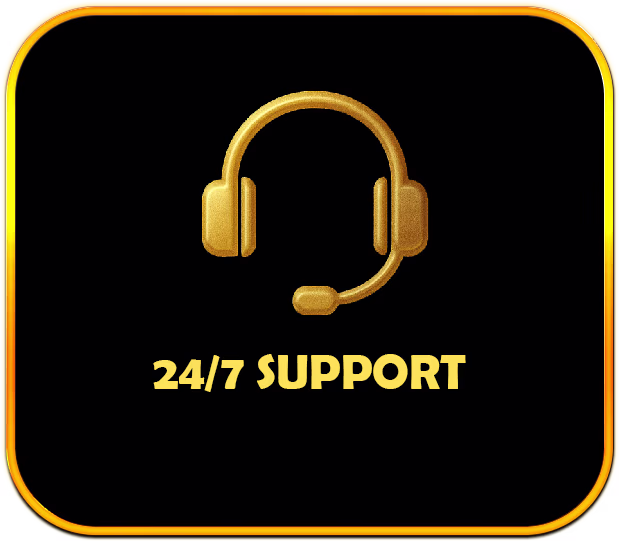 24/7 customer support for all players, Bagheera Ludo, Bagheera Carrom, Bagheera Carrom OPC Pvt Ltd